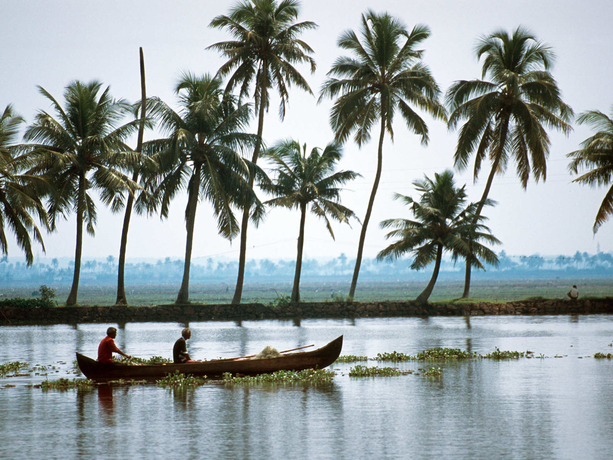 Alleppey